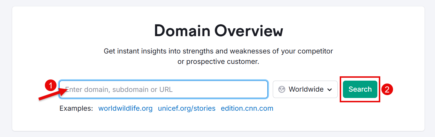 Domain overview tool showing search input and button