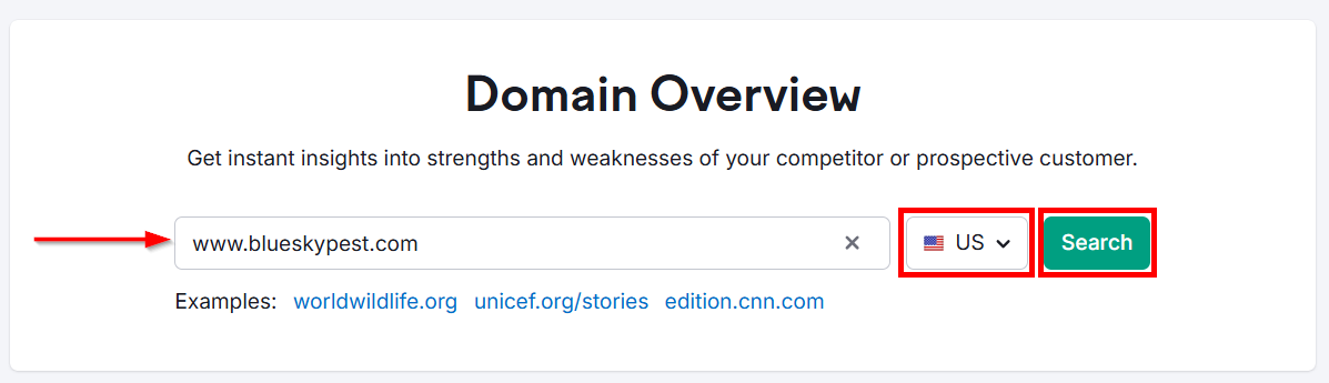 Domain overview tool for analyzing website performance and competition