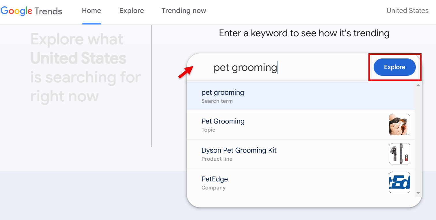 Google Trends search for pet grooming in the United States