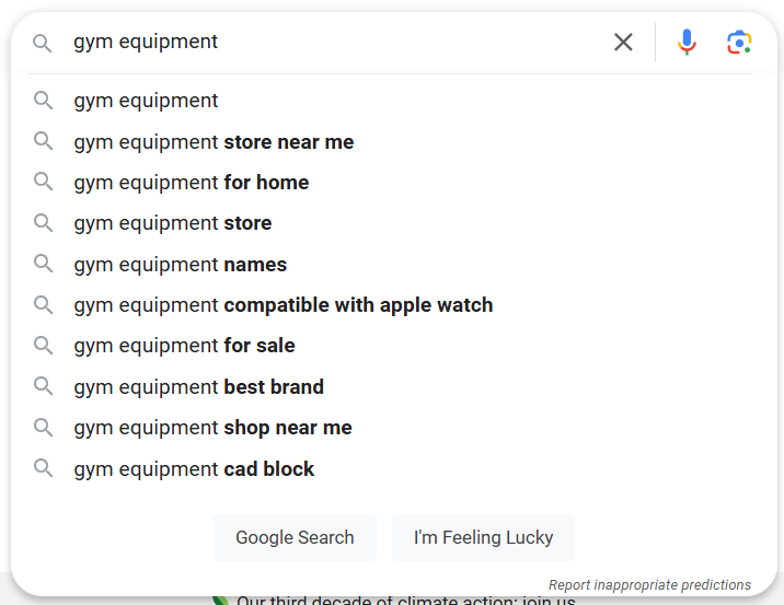 Google search suggestions for gym equipment queries