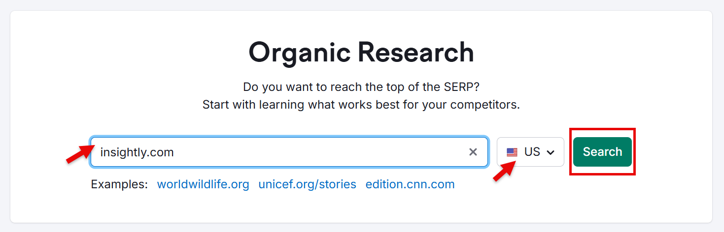 Organic Research tool highlighting insighly.com and search option