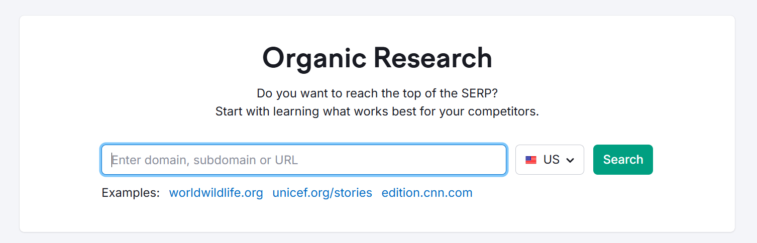 Organic research tool input field for domain or URL search.