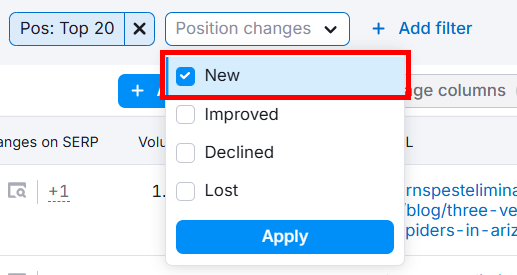 Filter options for position changes in SEO analysis tool