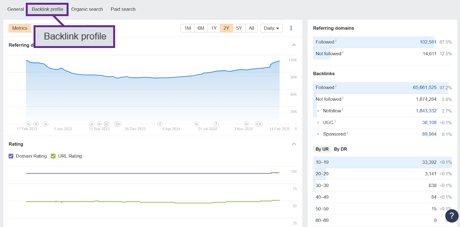 Backlink profile metrics showing referring domains and backlinks statistics over time.